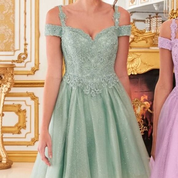 New Formal A-Line Floral Lace Embellished Dress w/ Off Shoulder Straps CD0132 - Picture 1 of 8